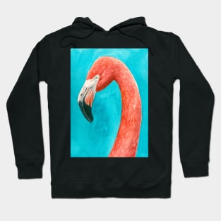 Flamingo Hoodie